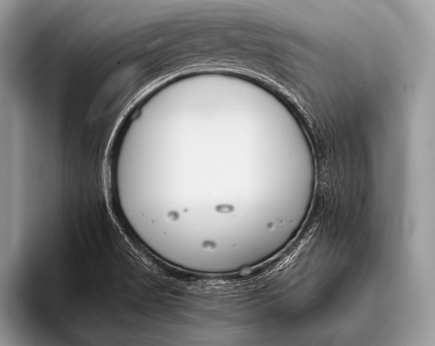 X0000096201517200802081530