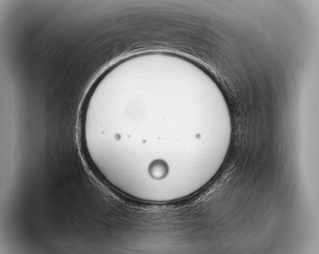 X0000096201518200802081530