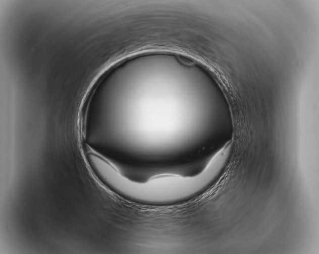 X0000096201519200802081530