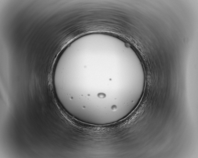 X0000096201521200802081530