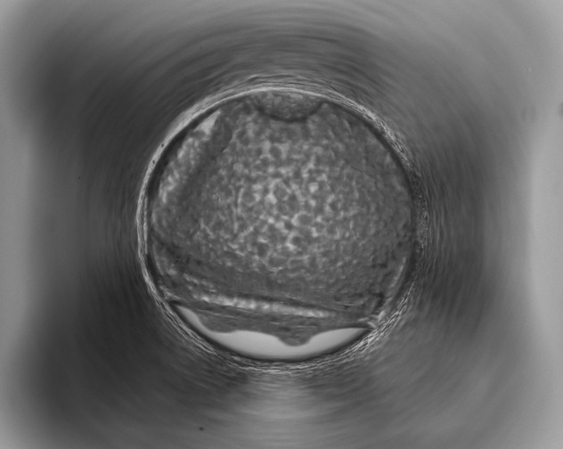 X0000096201522200802081530