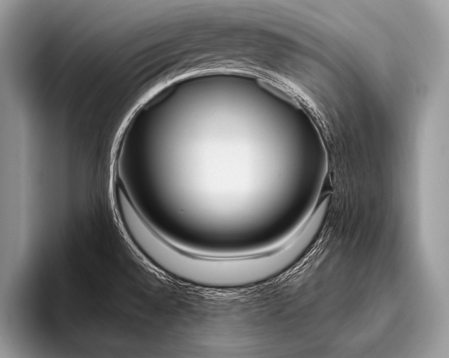 X0000096201528200802081530