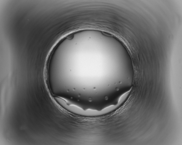 X0000096201531200802081530