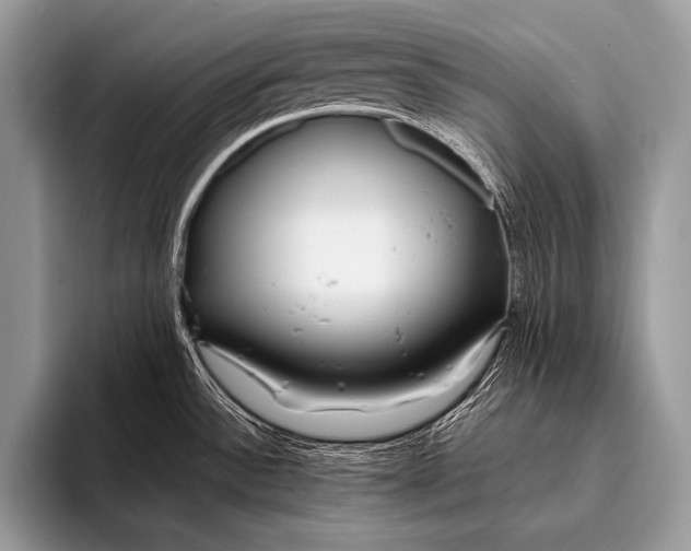 X0000096201532200802081530