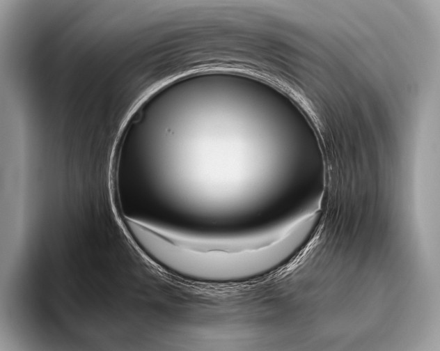 X0000096201533200802081530