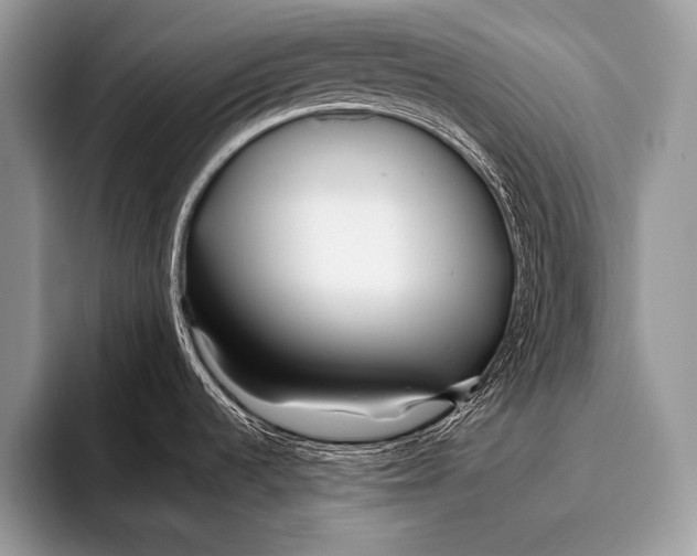 X0000096201536200802081530