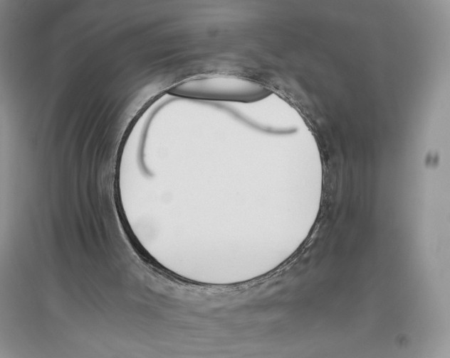 X0000096200003200802151536