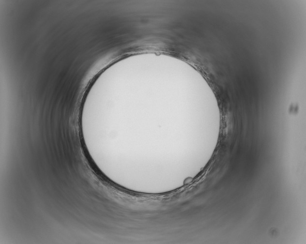 X0000096200004200802151536