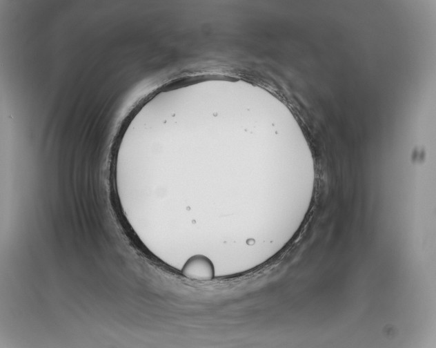 X0000096200006200802151536