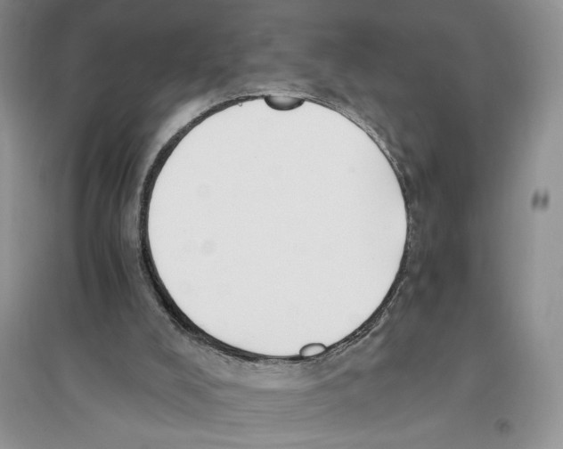 X0000096200008200802151536