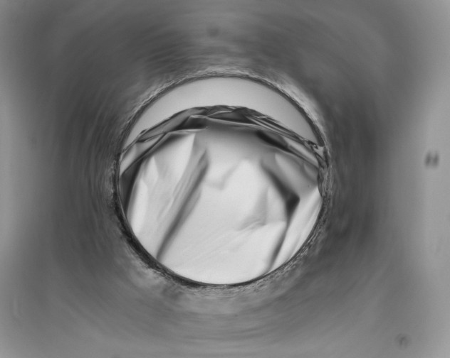 X0000096200009200802151536