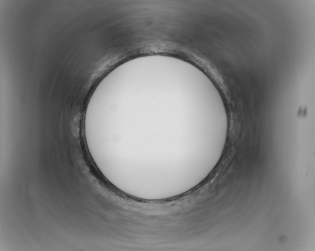 X0000096200010200802151536