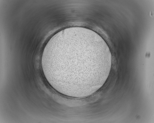 X0000096200012200802151535