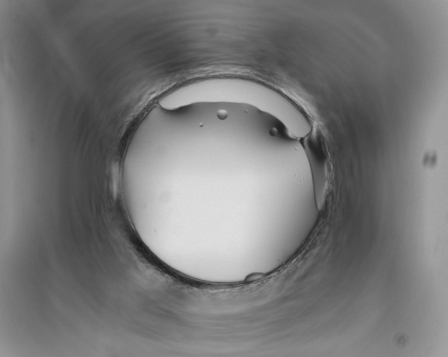 X0000096200013200802151535