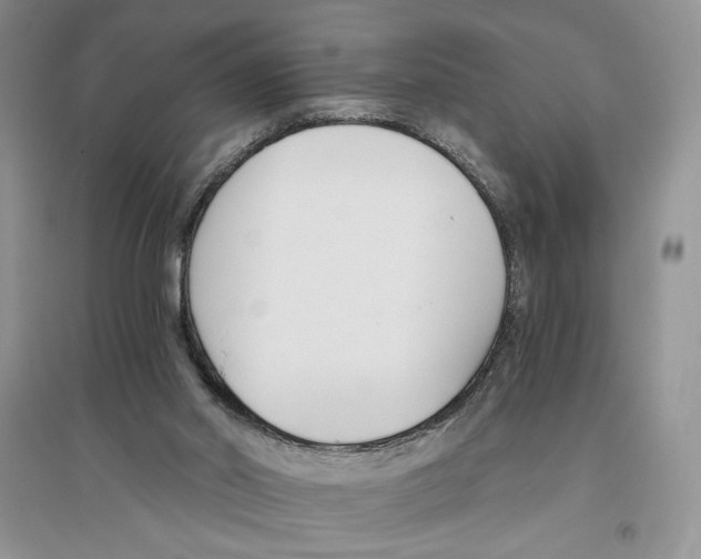 X0000096200014200802151535