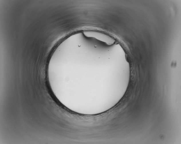 X0000096200015200802151535