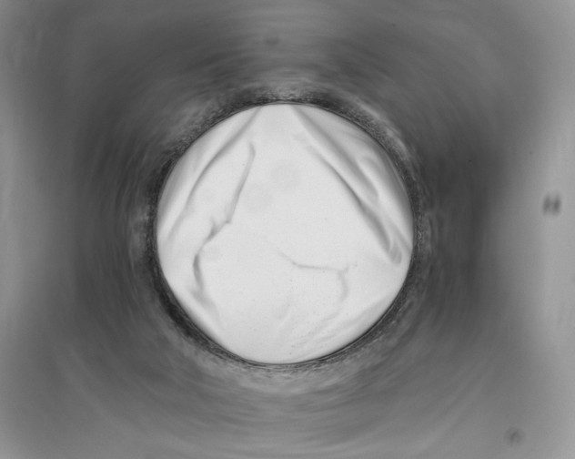 X0000096200018200802151535