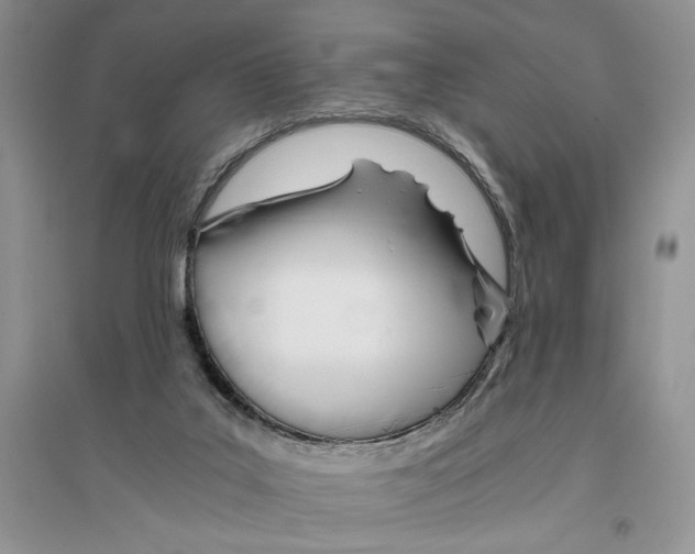 X0000096200019200802151535