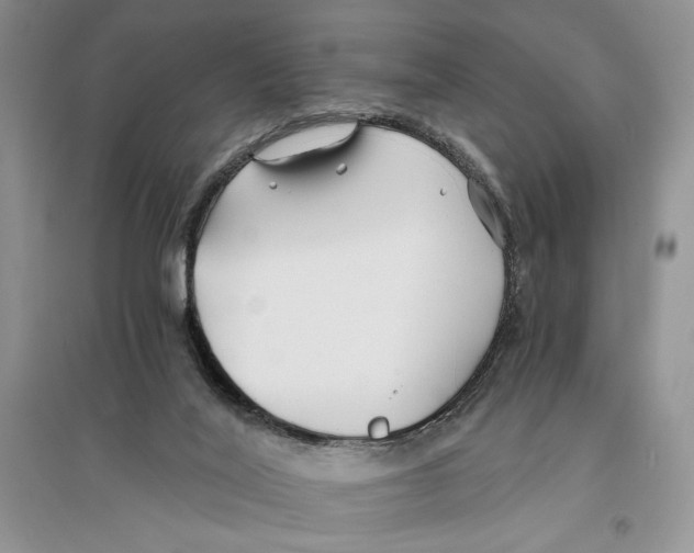 X0000096200020200802151535