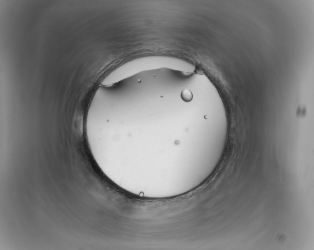 X0000096200021200802151535