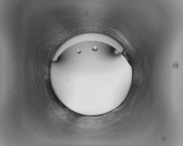 X0000096200025200802151535