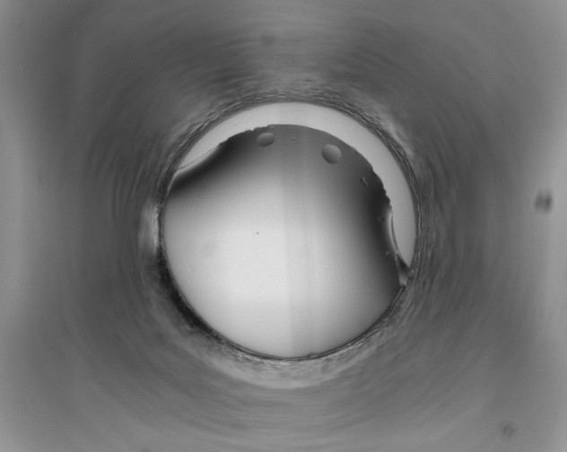 X0000096200027200802151535