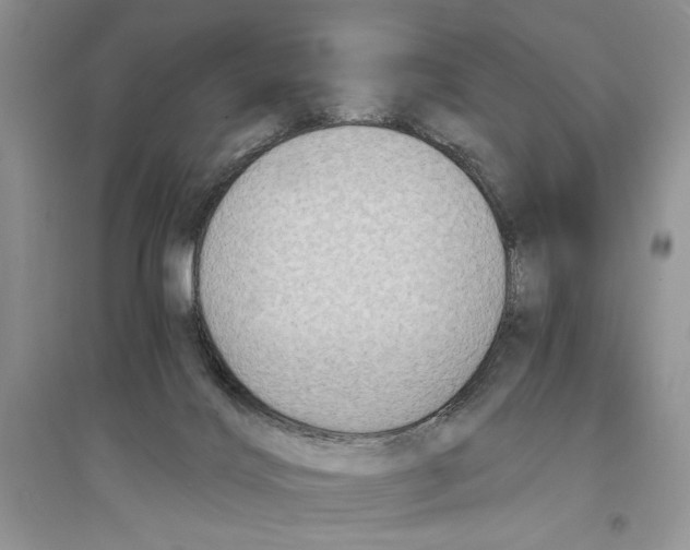 X0000096200028200802151535