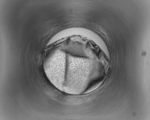 X0000096200029200802151535