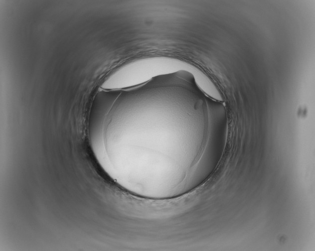 X0000096200031200802151535