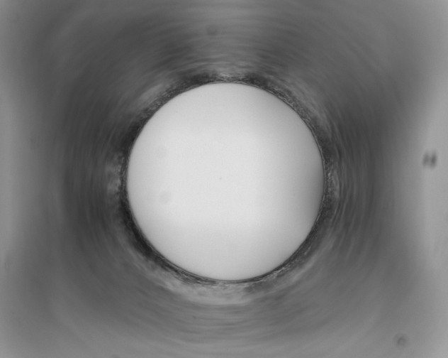 X0000096200032200802151535