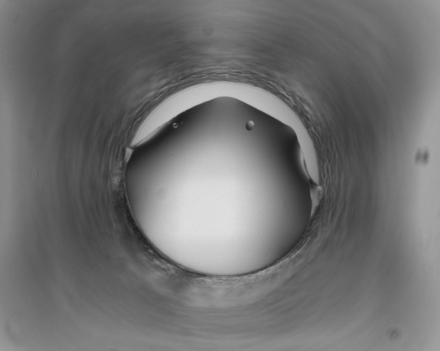 X0000096200033200802151535