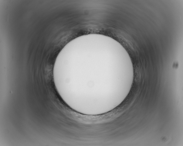 X0000096200034200802151535