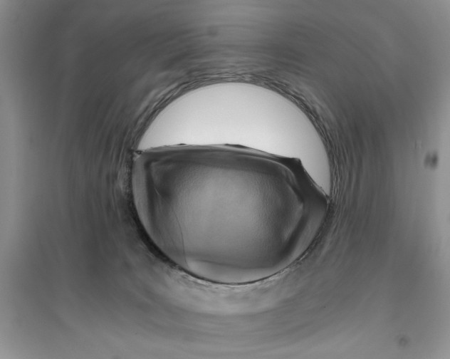 X0000096200035200802151535