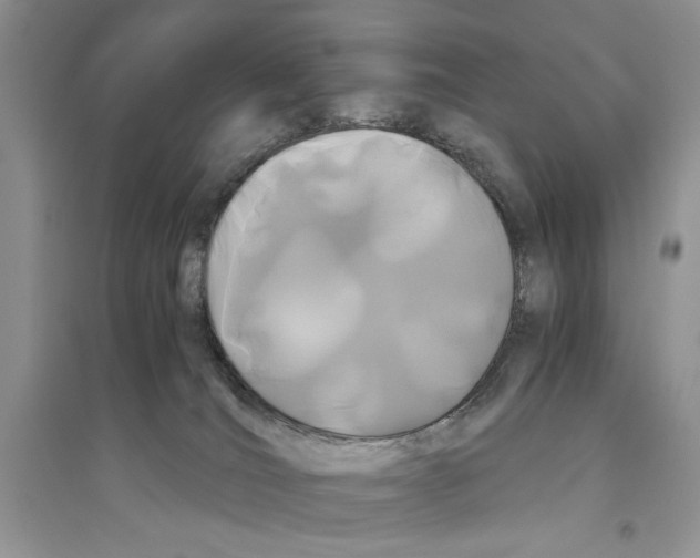 X0000096200036200802151535