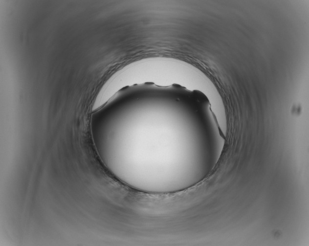 X0000096200037200802151535