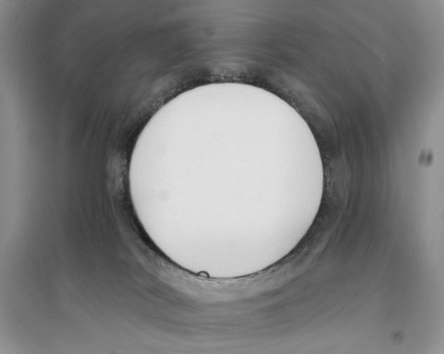 X0000096200038200802151535