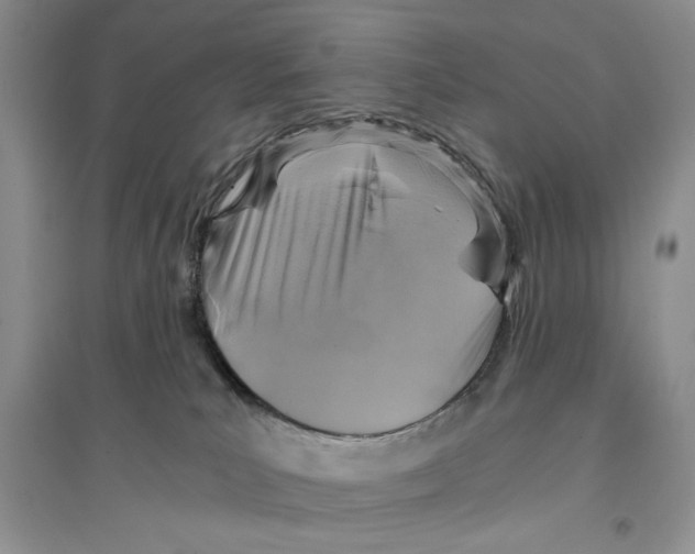 X0000096200039200802151535