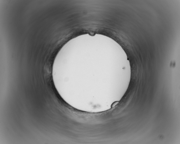 X0000096200040200802151535