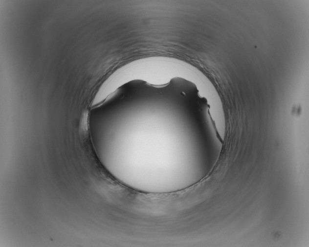 X0000096200041200802151535