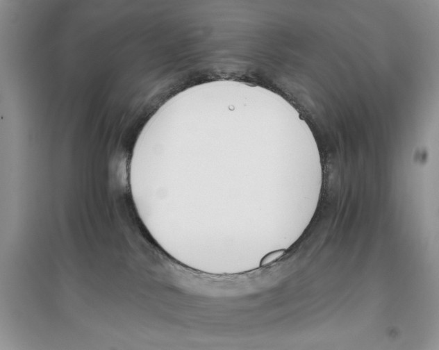 X0000096200042200802151535