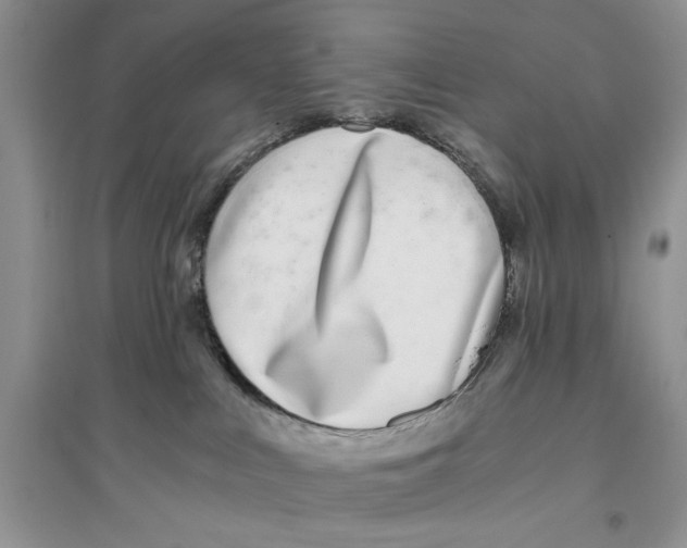 X0000096200043200802151535