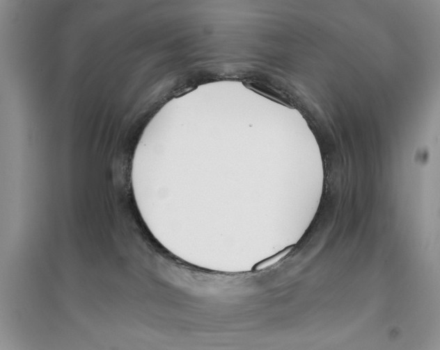 X0000096200044200802151535