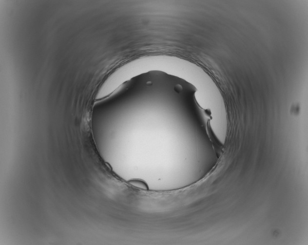 X0000096200045200802151535