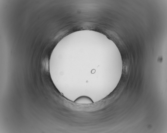 X0000096200046200802151535