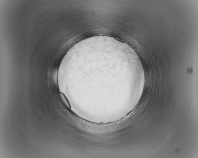 X0000096200047200802151535