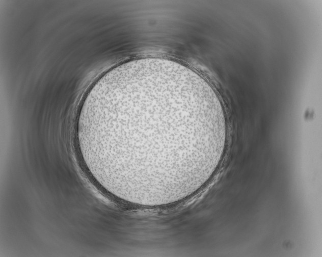 X0000096200049200802151534