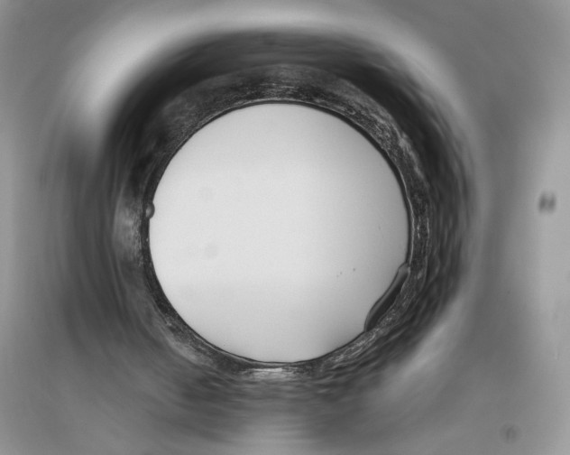 X0000096200050200802151534