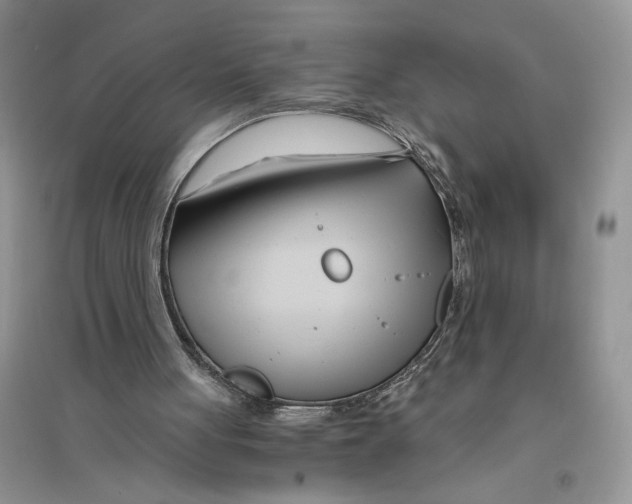 X0000096200051200802151534