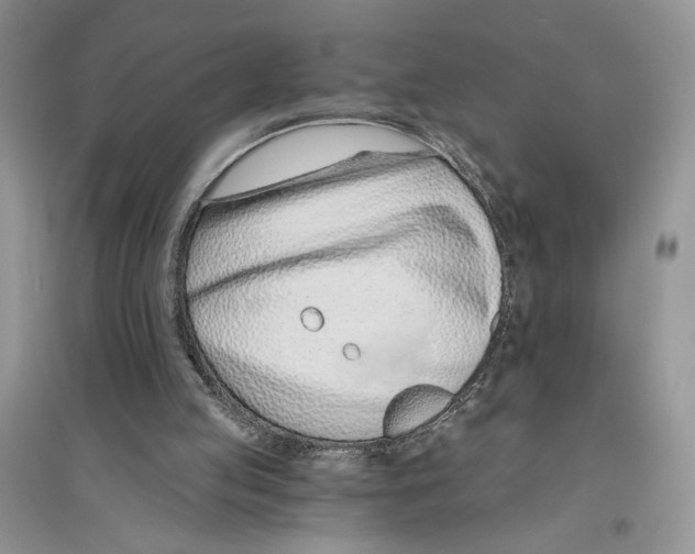 X0000096200053200802151534