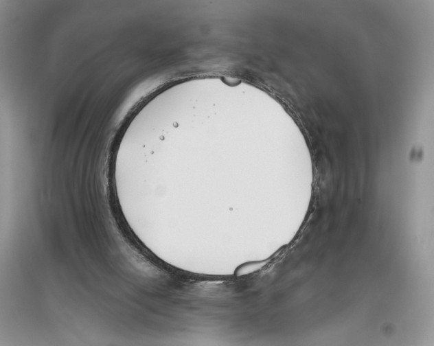 X0000096200054200802151534